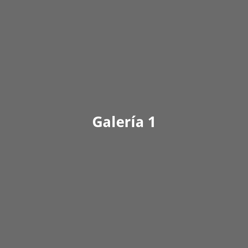 Galería 1