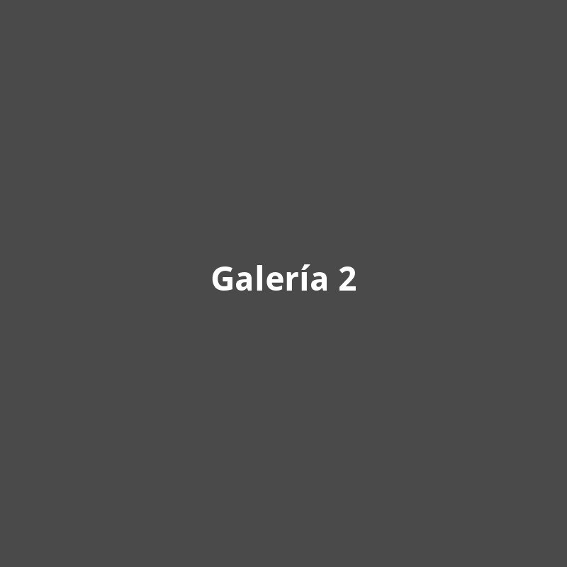 Galería 2