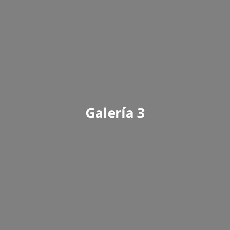 Galería 3