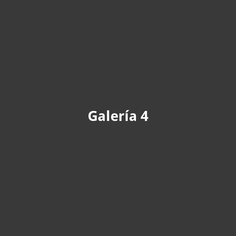 Galería 4