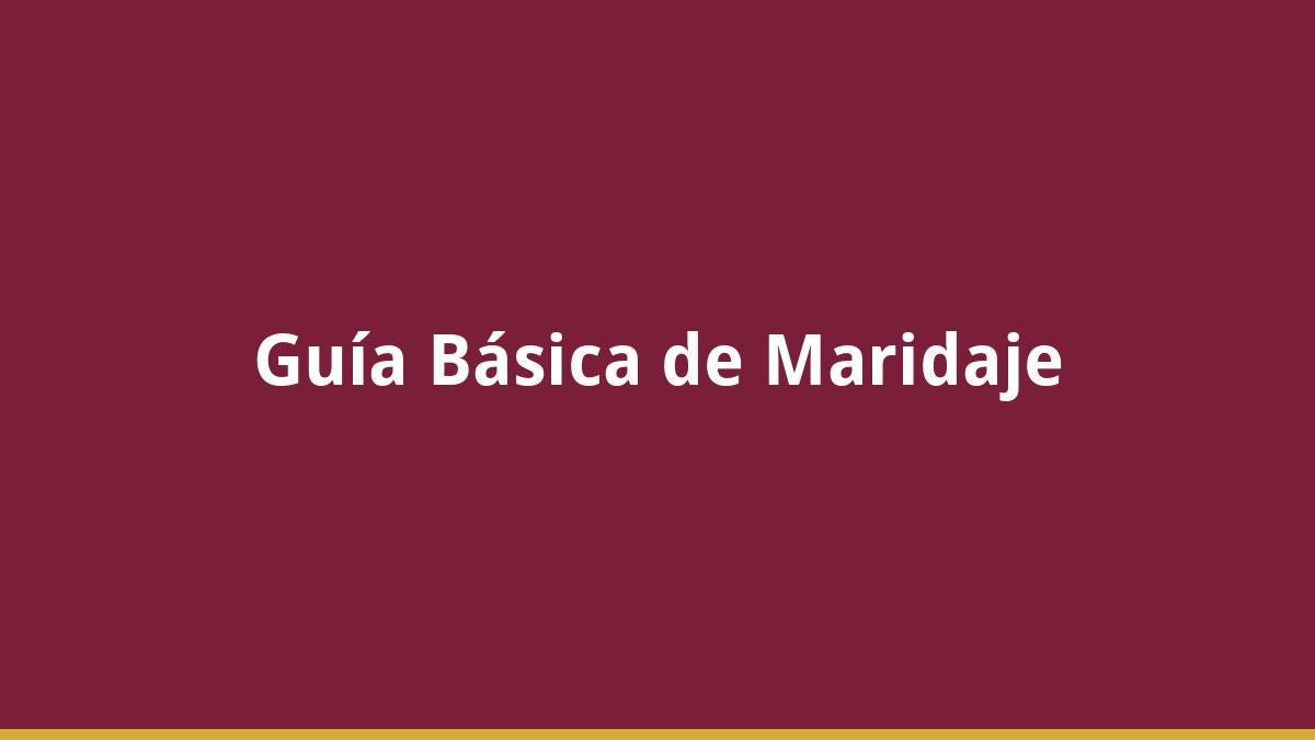 Guía Básica de Maridaje: Vino y Comida