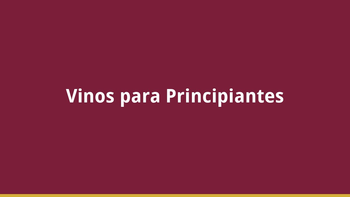 Los Mejores Vinos para Principiantes